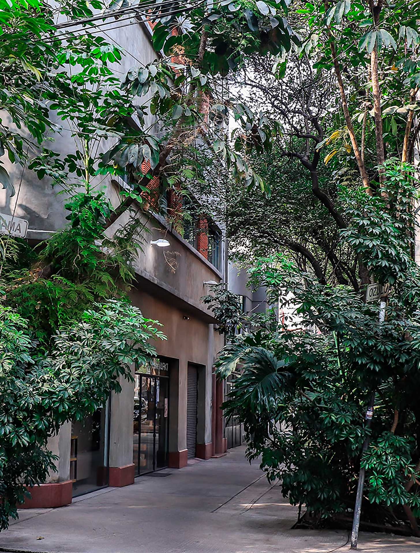 Local area at Condesa DF.