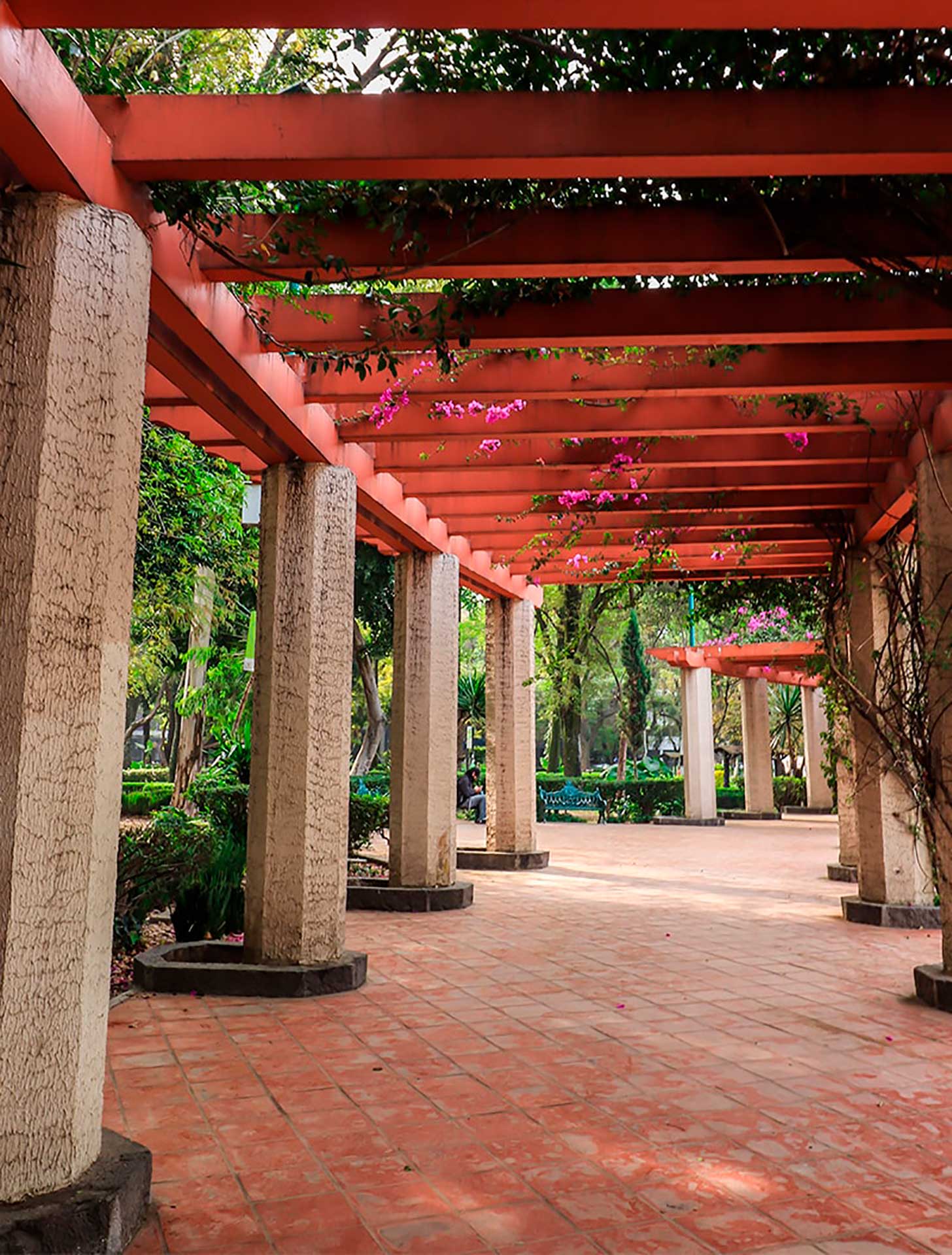 Local area at Condesa DF.